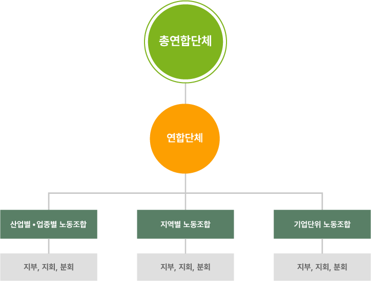 노동조합 설명 이미지 1 : 총연합단체 -산업별 연합단체 -산업별·업종별 노동조합(산업별·업종별 노동조합), 지역별 노동조합(지역별 노동조합), 기업단위 노동조합(기업단위 노동조합)